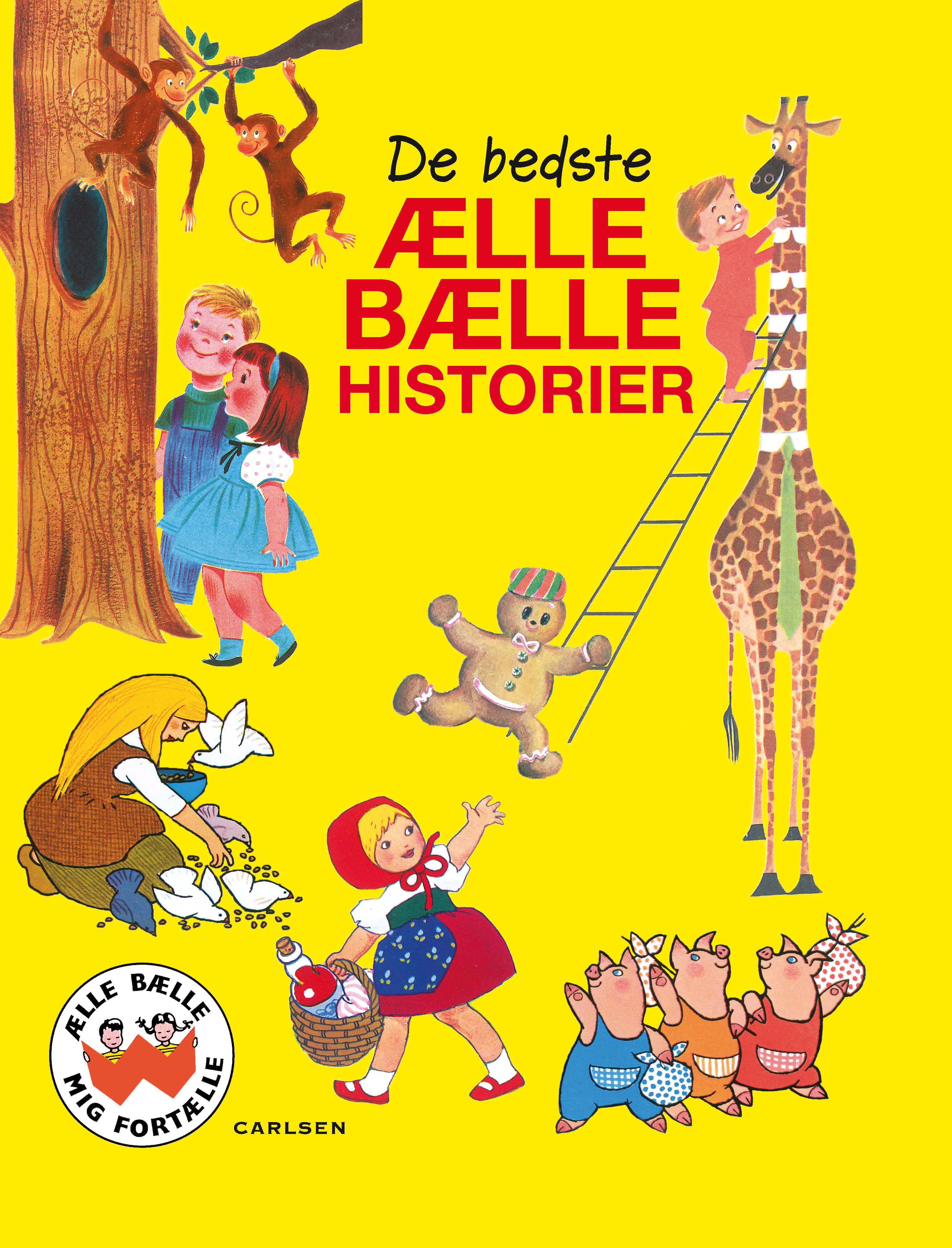 Forside billede